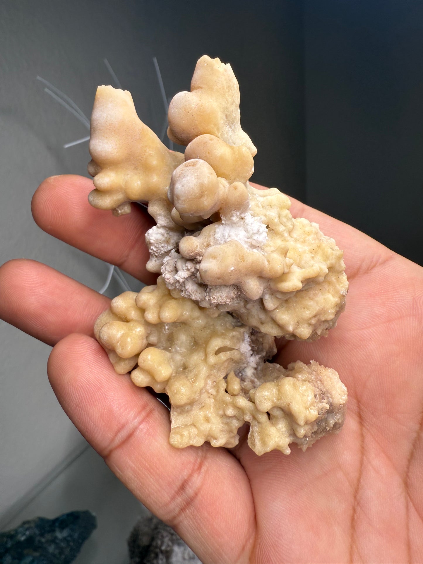 Brown Stalactite w/ Aragonite