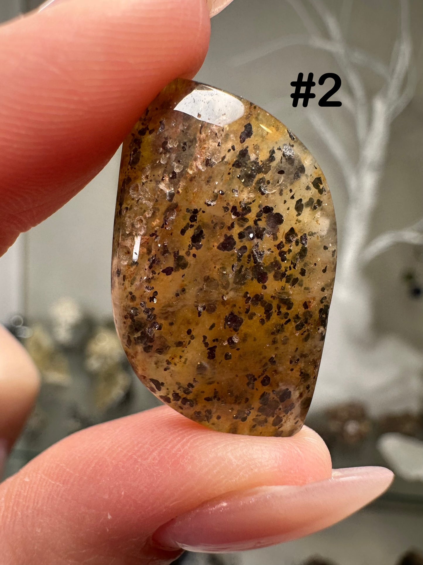Black Sunstone Cabs