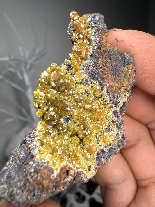 Vanadinite with Iron