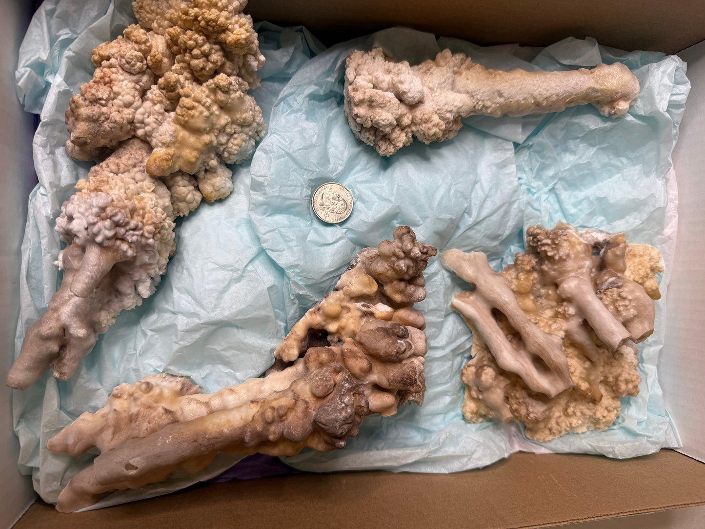 Stalactite flat 4 large Pieces