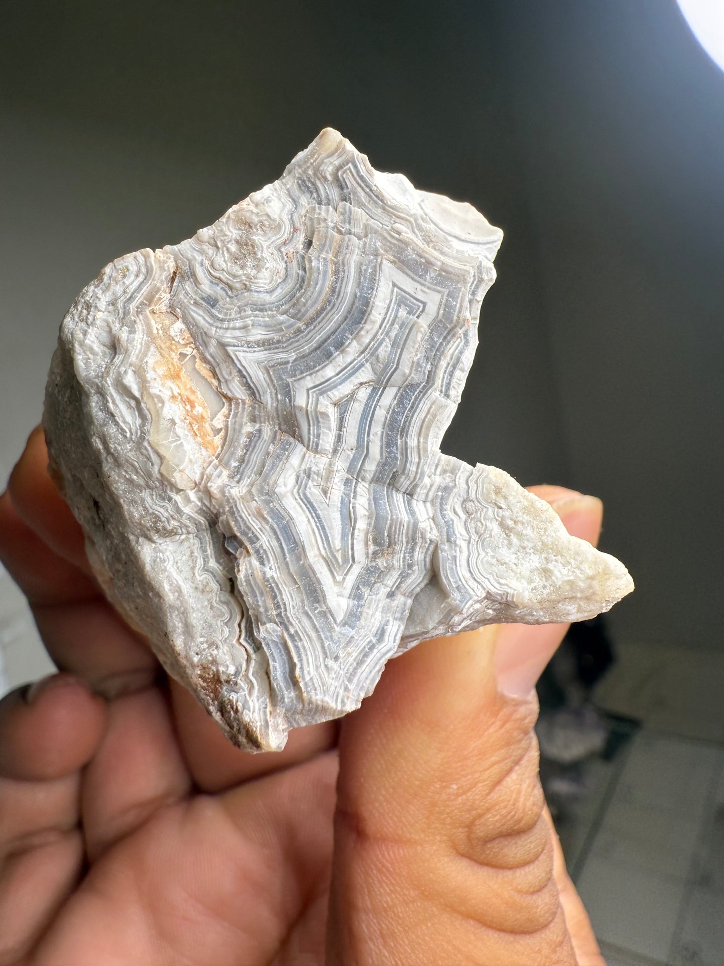Crazy lace agate