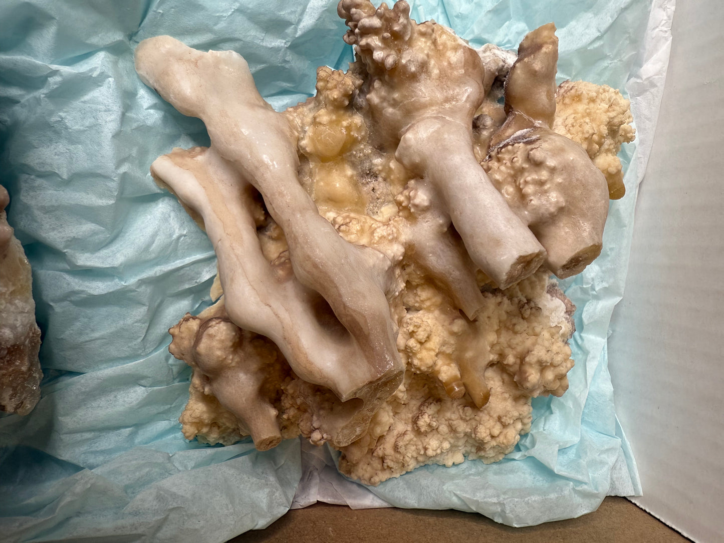Stalactite flat 4 large Pieces