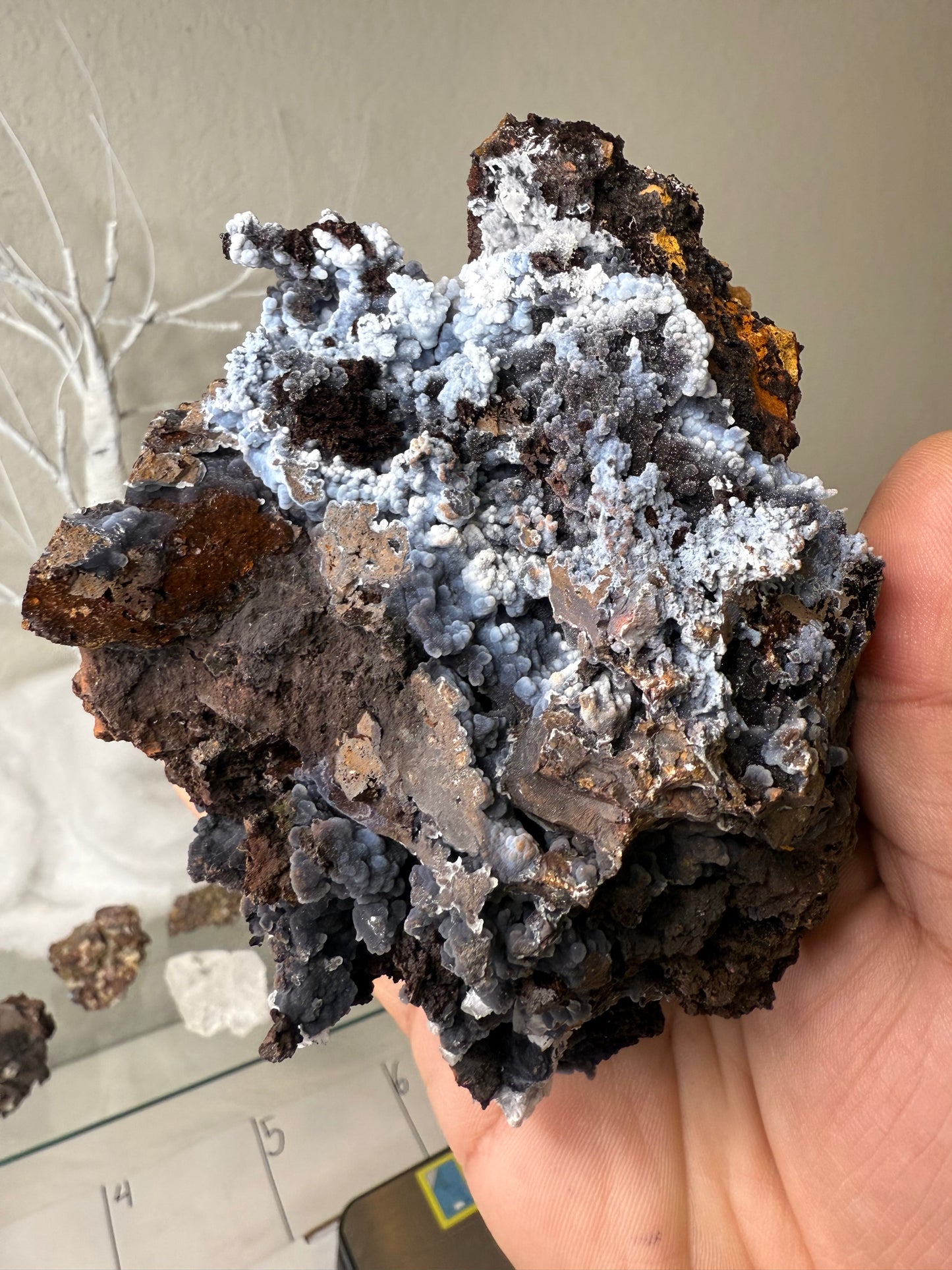Blue/White/Black Chalcedony with hydrozincite & calcite on Goethite