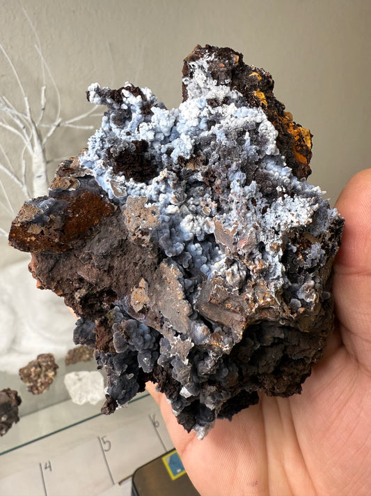 Blue/White/Black Chalcedony with hydrozincite & calcite on Goethite