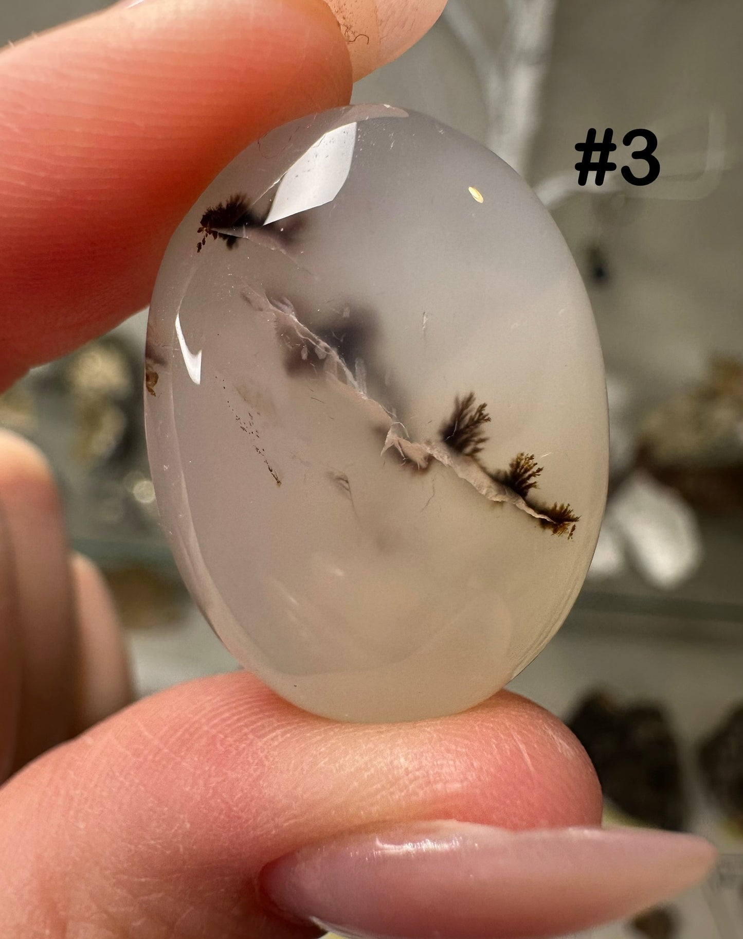 Scenic Agate Cabs