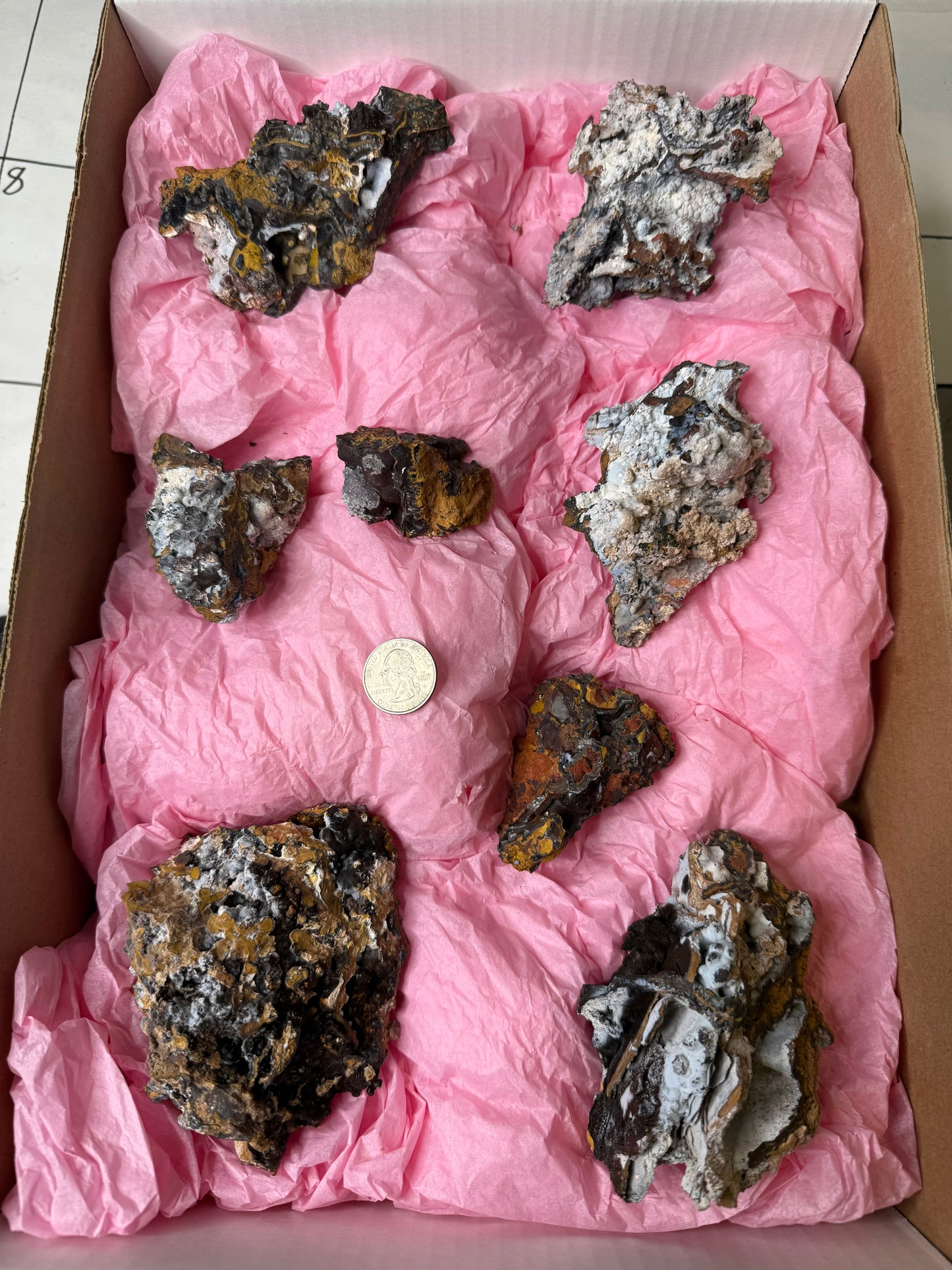Goethite with Calcite & Aragonite 8 pieces Flat