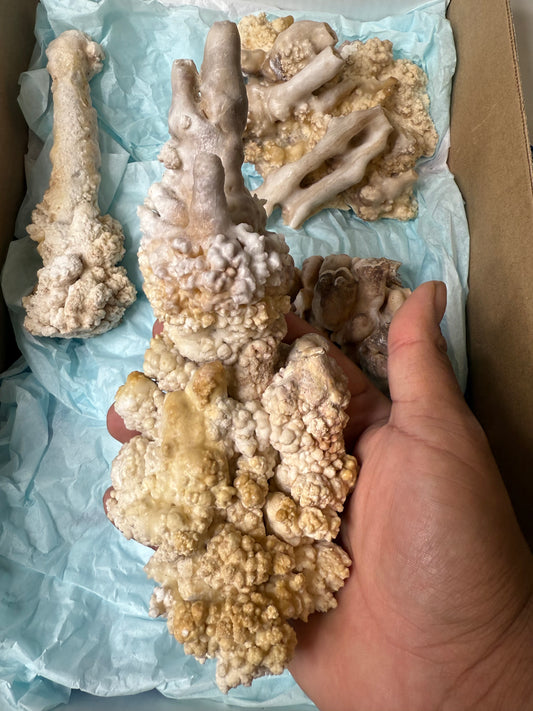 Stalactite flat 4 large Pieces