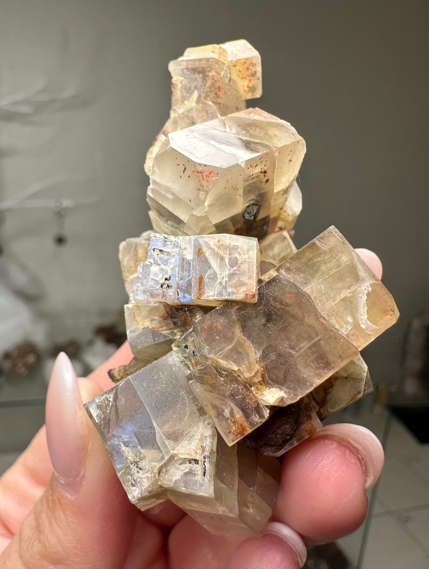 Feldspar var. Moonstone w/ Augite