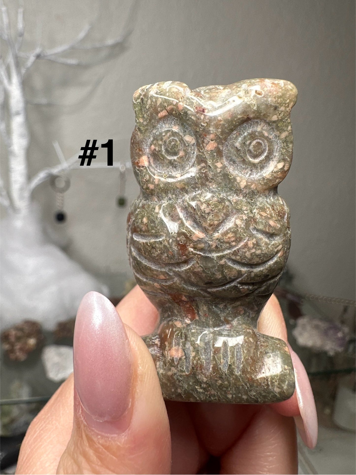 Owls