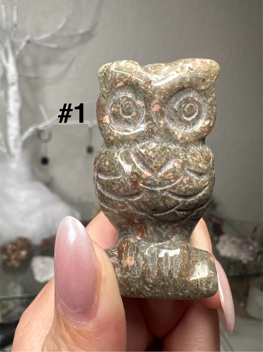 Owls