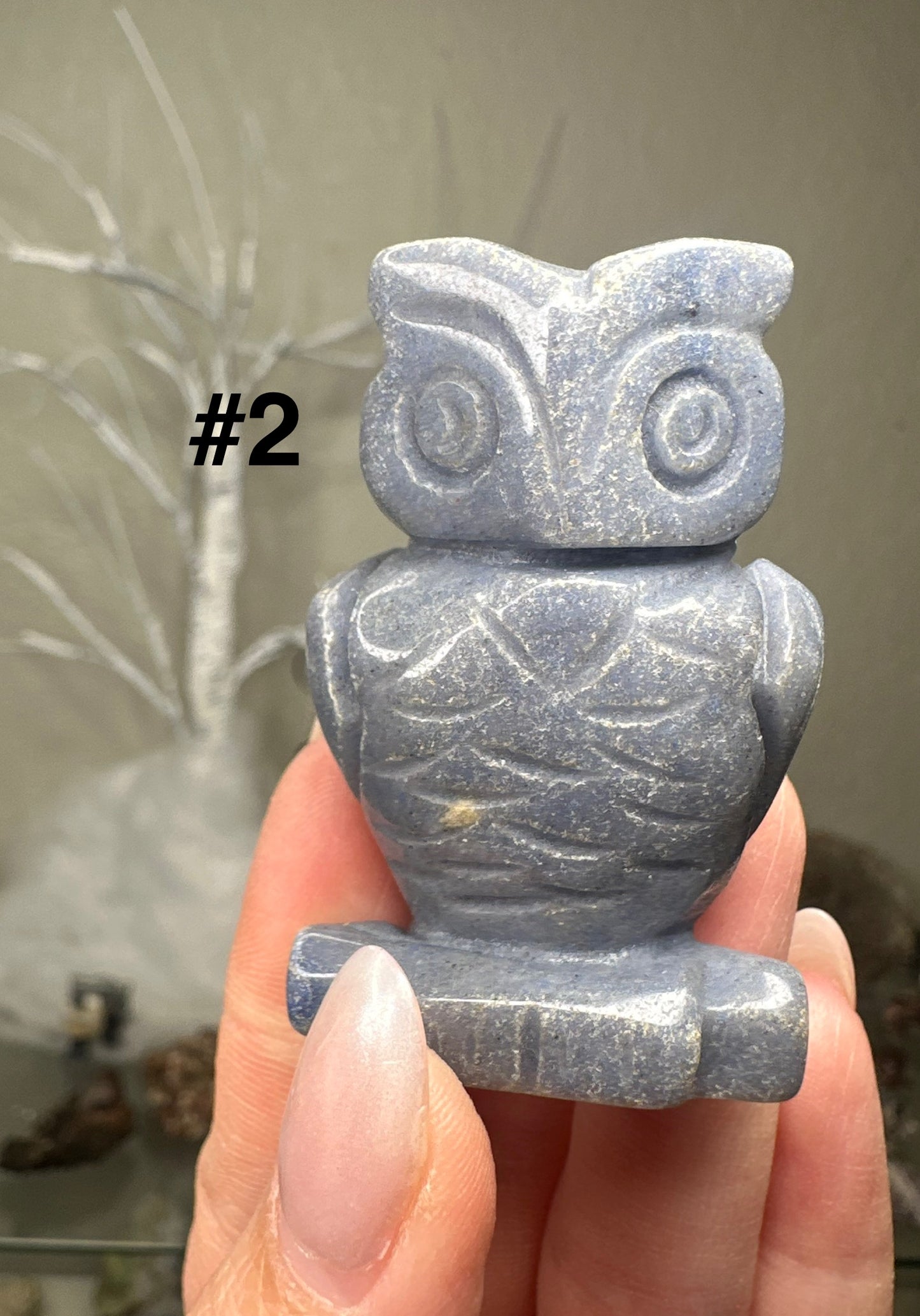 Owls
