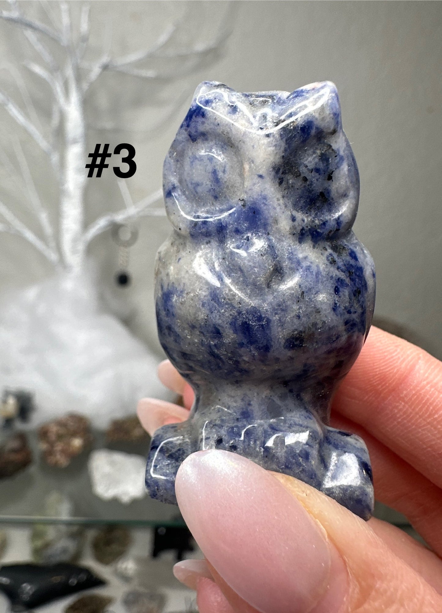 Owls