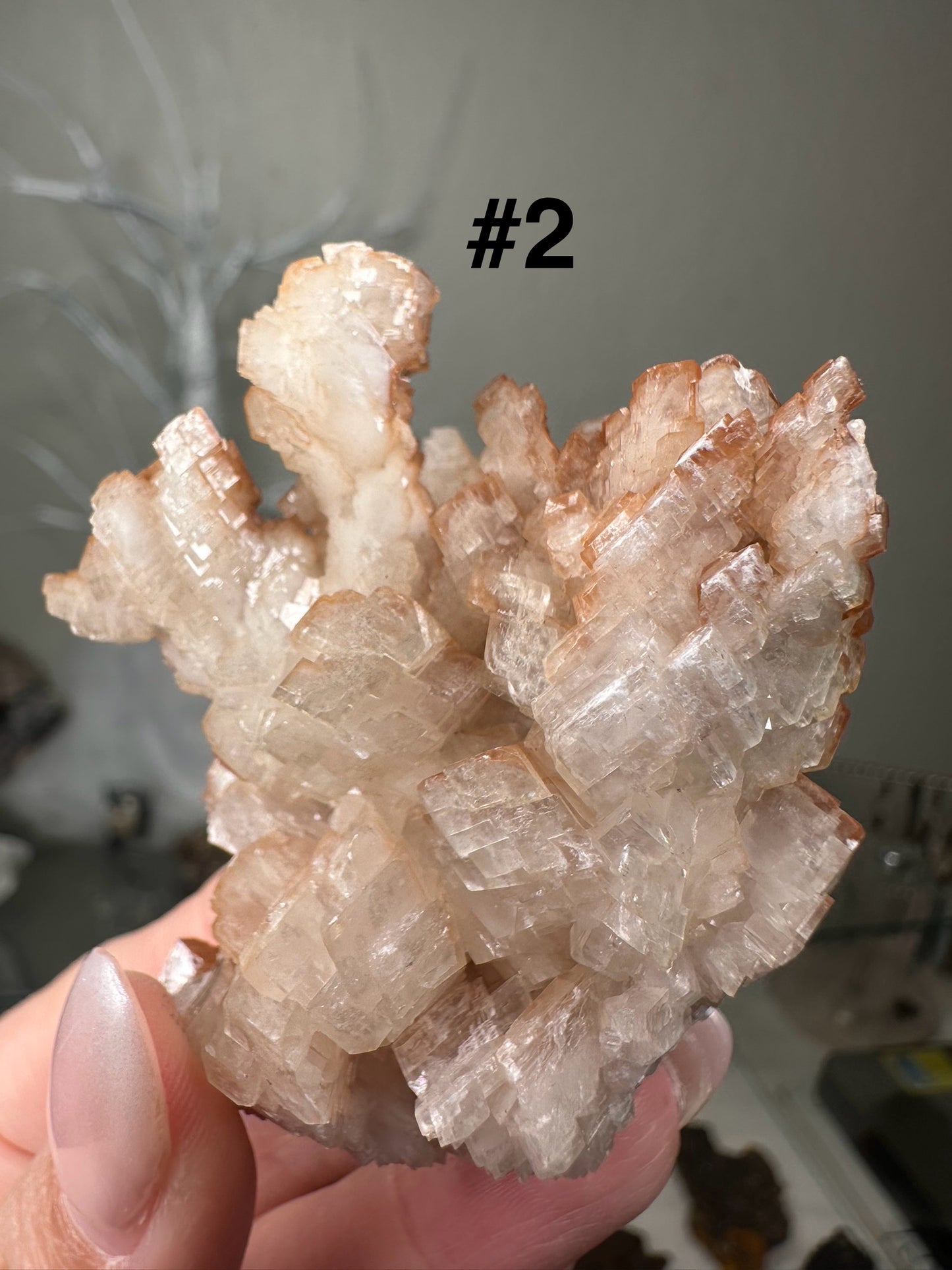 Druzy Chabazite