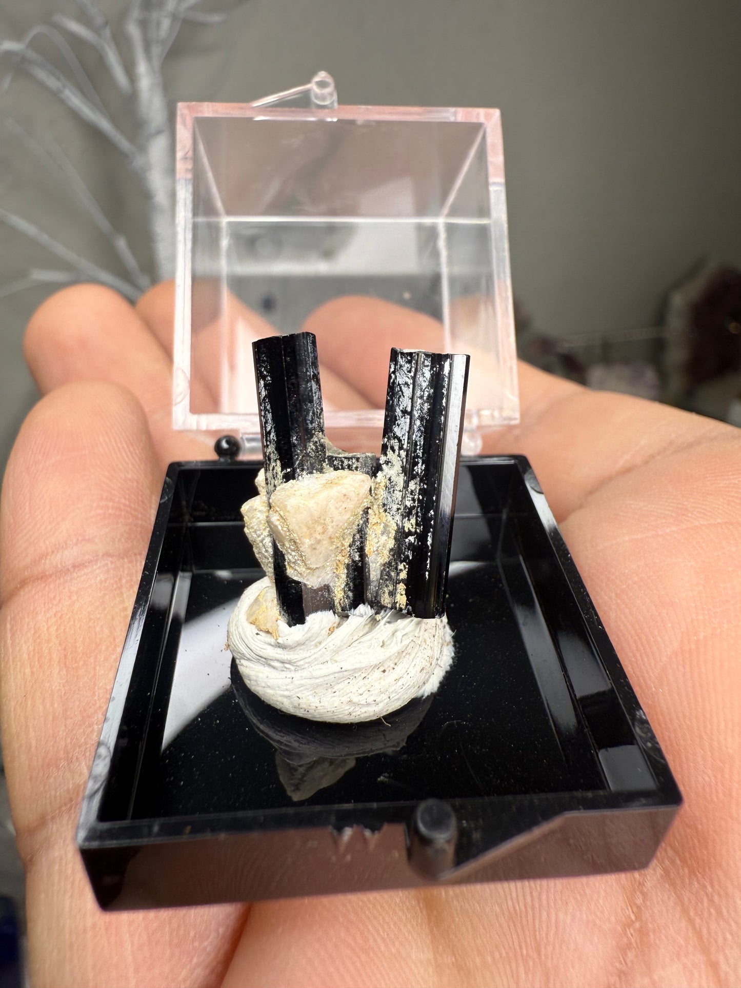 Tourmaline with White Albite
