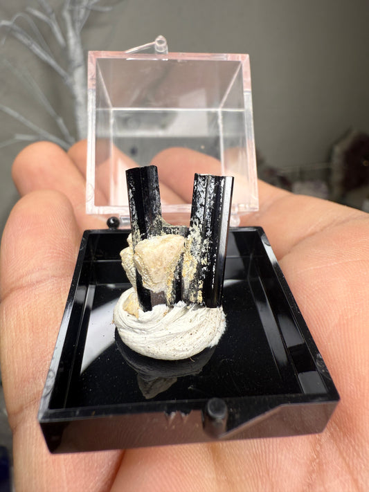Tourmaline with White Albite