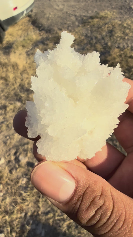 Spiky Aragonite