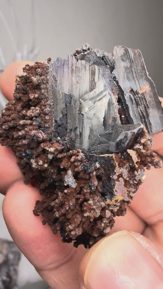Selenite Cast after Goethite with iron
