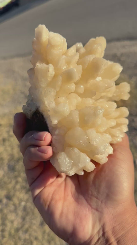 Large Brown Calcite on Aragonite