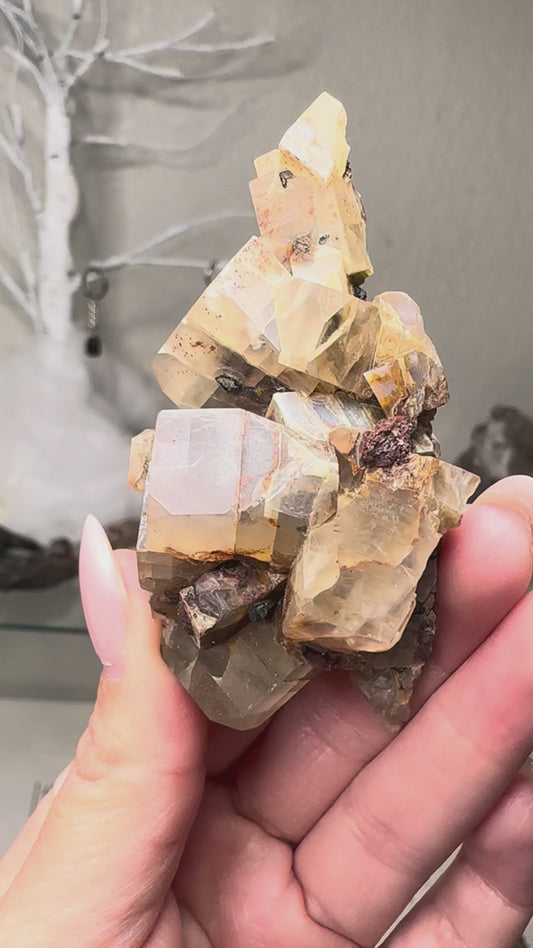 Feldspar var. Moonstone w/ Augite