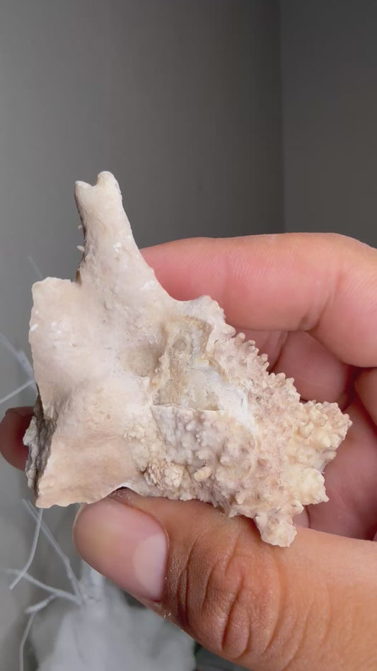 Stalactite with aragonite